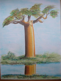 Arbol Africano