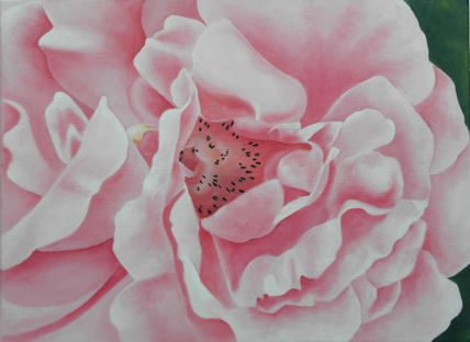 Pequeña rosa