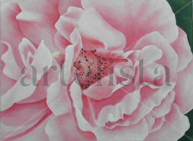 pequeña rosa