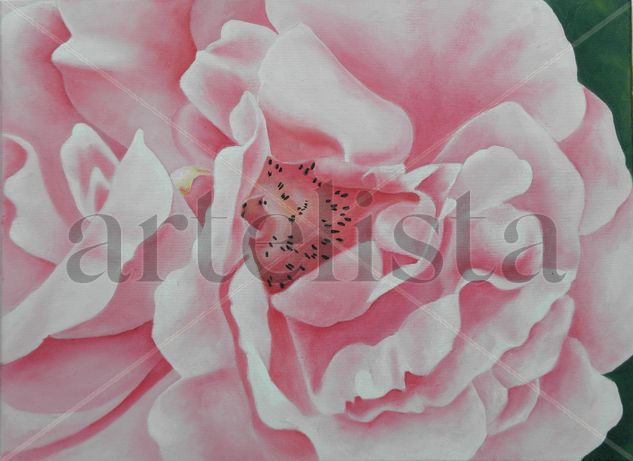 pequeña rosa Oil Canvas Floral Painting