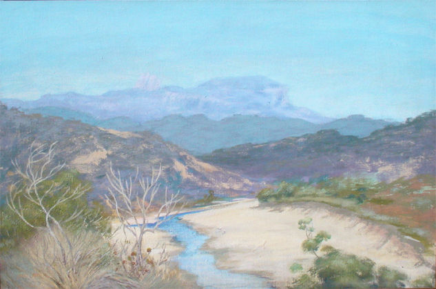 Vista de San Ignacio Acrylic Canvas Landscaping