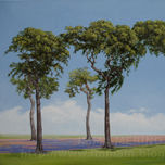 Paisajes thumbnail 1
