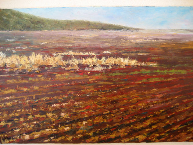 PÁRAMO Oil Canvas Landscaping