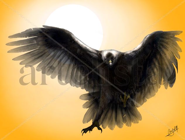 A CONTRA LUZ - ÁGUILA IMPERIAL