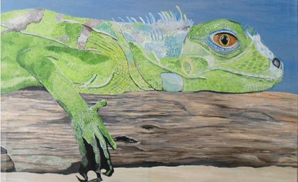 Iguana verde