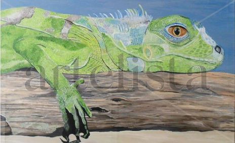 Iguana verde