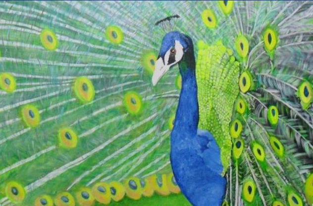 PAVO REAL