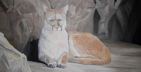Puma