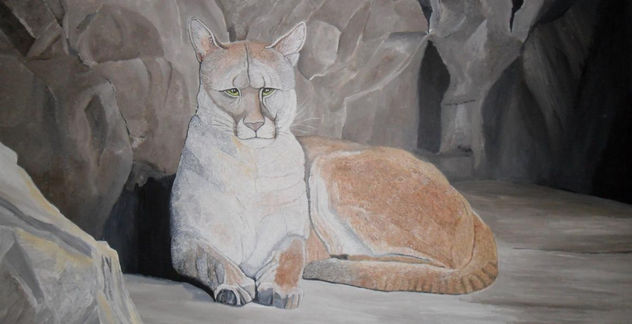 PUMA