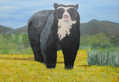 Oso de anteojos