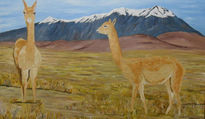 Vicuñas