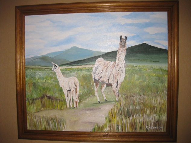 LLAMAS Acrylic Canvas Animals