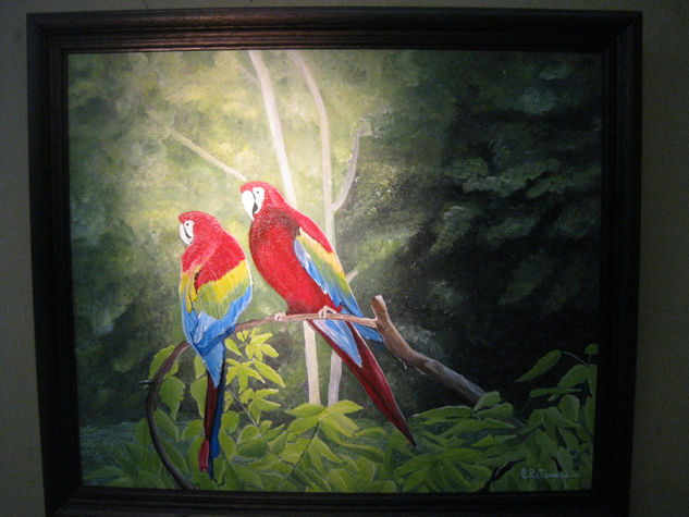 GUACAMAYOS ROJOS Acrylic Canvas Animals