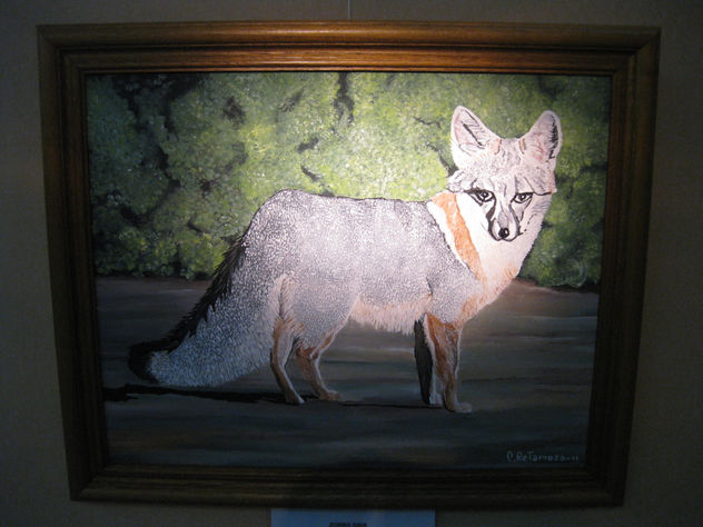 ZORRO GRIS