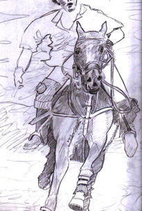 Caballo a lapiz