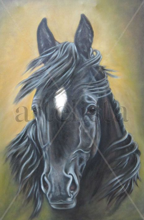 Latigo