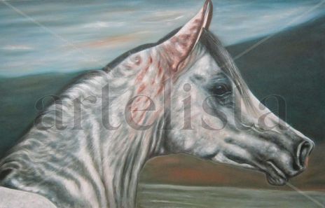 Delfino