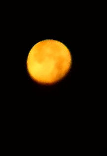 COMPOSICION VLAS.LUNA AMARILLA.