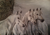 The three white horses