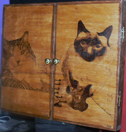 Gatos