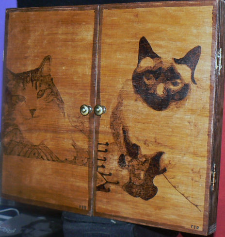 Gatos