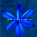 Color thumbnail 2