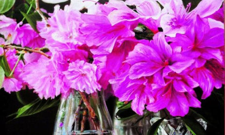 FLORES