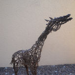 Animales thumbnail 1