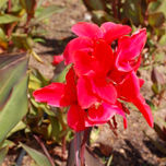 fotografia thumbnail 2