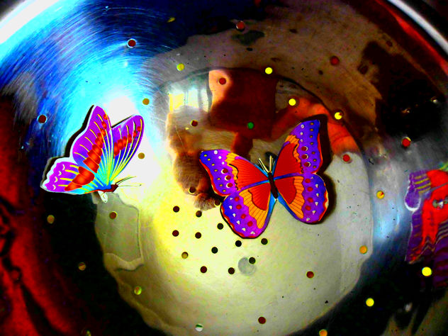 COMPOSICION VLAS.MARIPOSA III