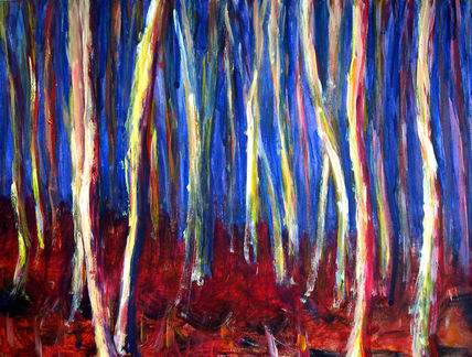 En la noche del bosque