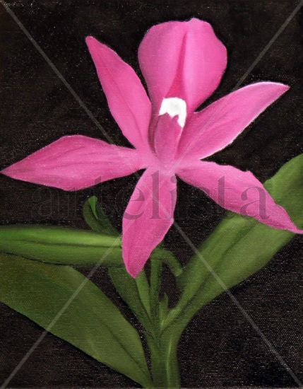 Pink Orchid Oil Canvas Floral Painting