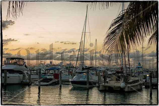 Miamimi Bay