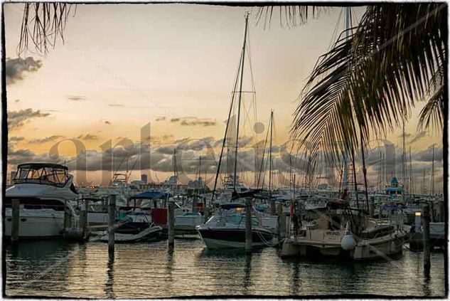 Miamimi Bay Naturaleza Técnicas alternativas