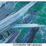 Naturaleza thumbnail 1