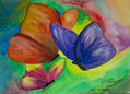 MAriposas arcoiris