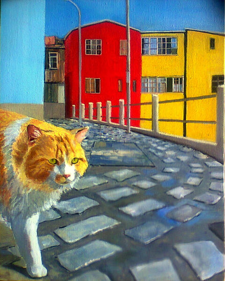 Gato Porteño Oil Canvas Landscaping