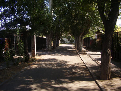 Caminaba
