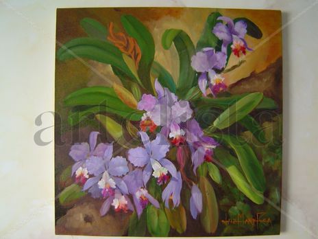 Orquideas del amazonas