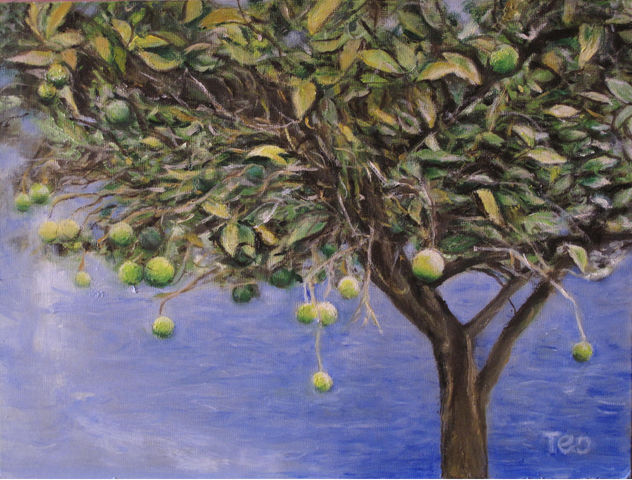 Ejercicio de pintura: Limonero.