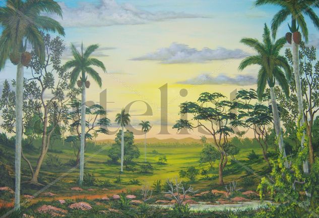 VEREDA CUBANA Acrylic Canvas Landscaping