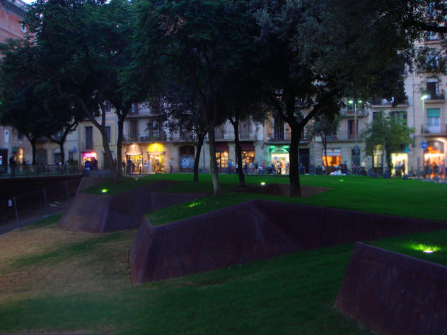 scene