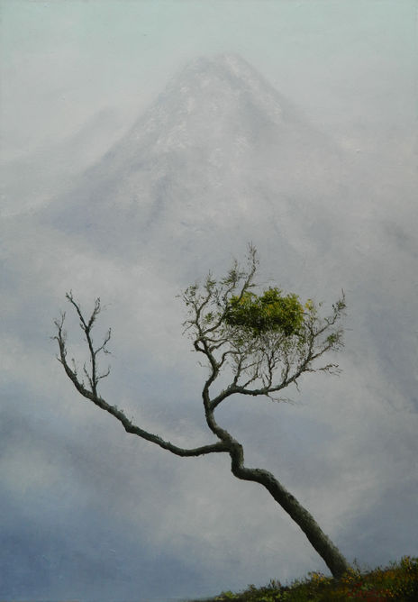 Patagonia Chilena 2