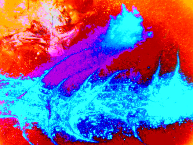 COMPOSICION VLAS.OBRA DE VERANO 2012