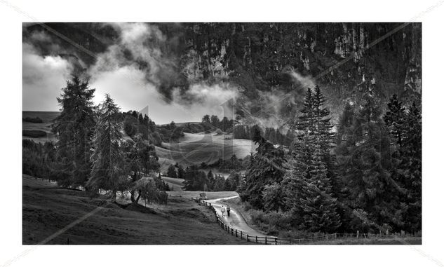 Alpes caminando Naturaleza Blanco y Negro (Digital)