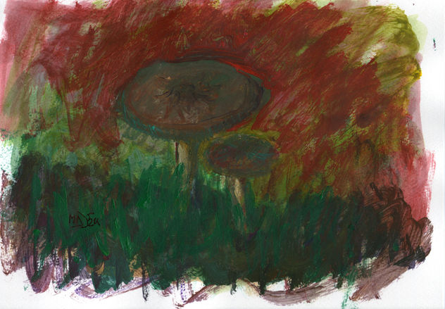 Setas /  Mushrooms / Pilze Magic