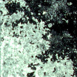 Mundos Ocultos thumbnail 1