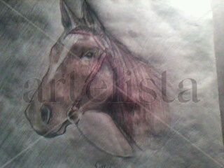 caballo Pencil