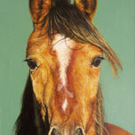 caballos thumbnail 1