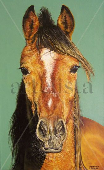 Caballo. Acrylic Canvas Animals